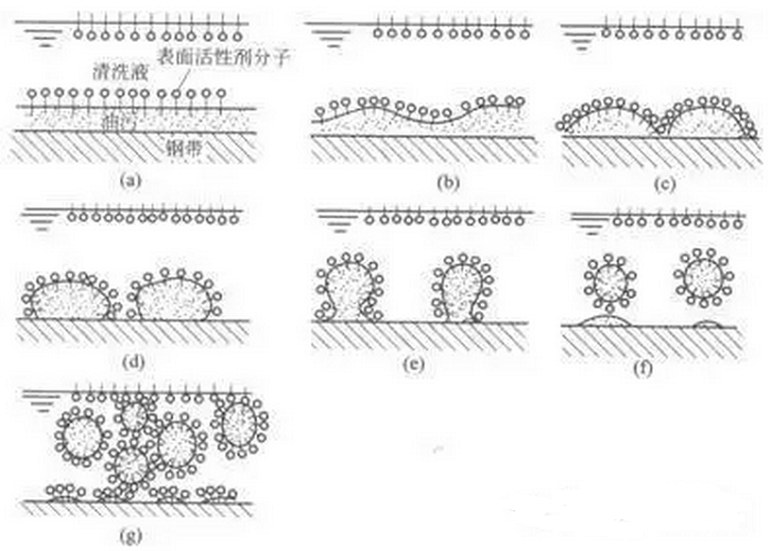 乳化作用过程参见图